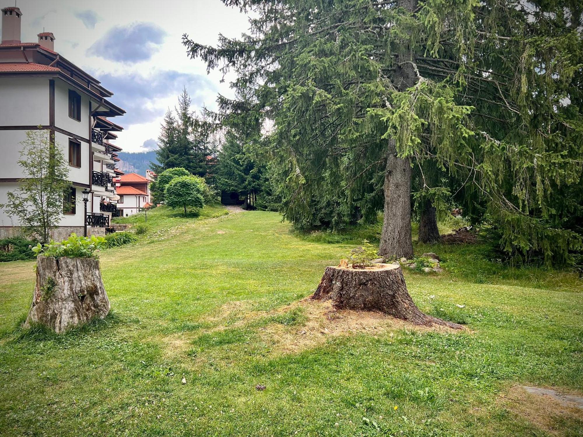 Relax Aпартаменти, Смолянски Езера, Вила Венера, К-С Маунтин Лейк Kültér fotó